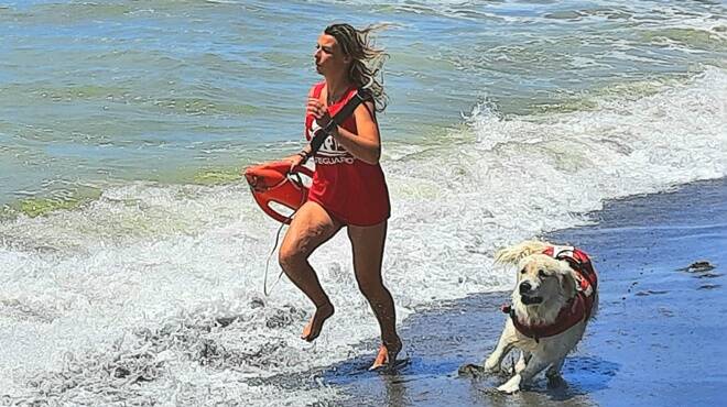 Tarquinia, bimba rischia di annegare in mare: salvata dal cane bagnino Botch