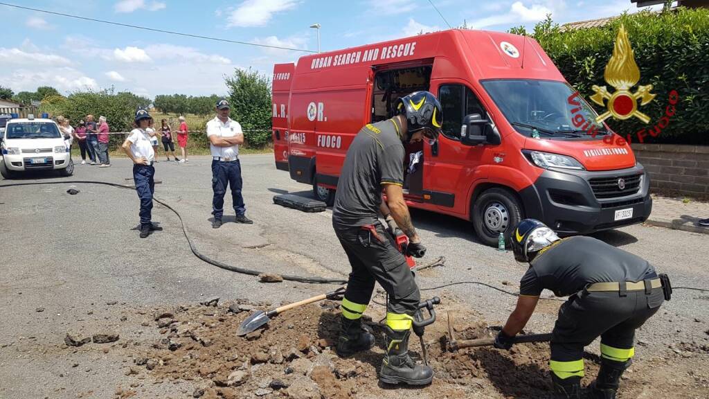 Cane finisce in un tombino: salvato dai Vigili del Fuoco