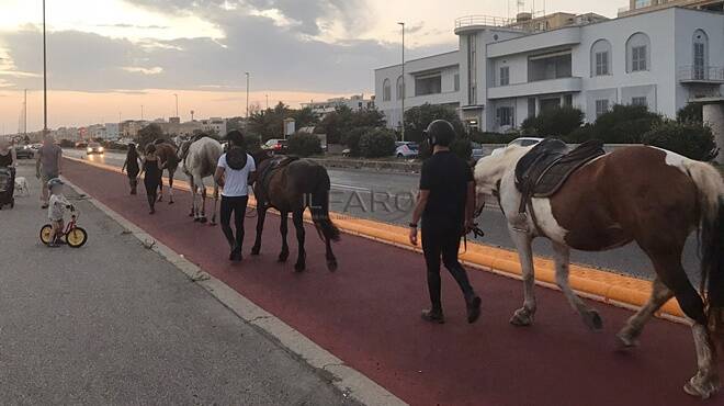 Ostia, incanto al tramonto: sulla pista ciclabile sfilano… i cavalli