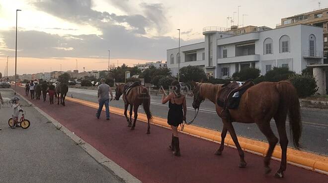 Ostia, incanto al tramonto: sulla pista ciclabile sfilano… i cavalli