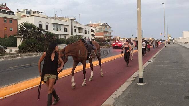 Ostia, incanto al tramonto: sulla pista ciclabile sfilano… i cavalli