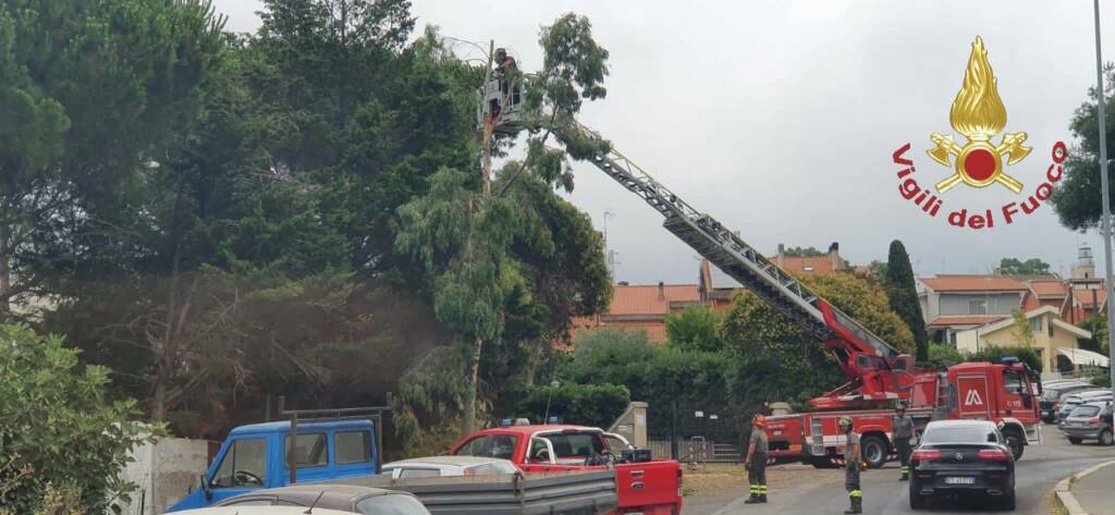 Civitavecchia, anziana cade in casa e non riesce a rialzarsi: soccorsa dai pompieri