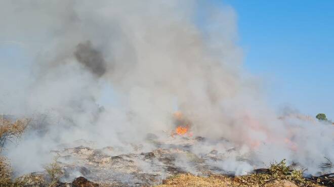 Campi e immondizia in fiamme ad Ardea, il Sindaco: “Non è una coincidenza”