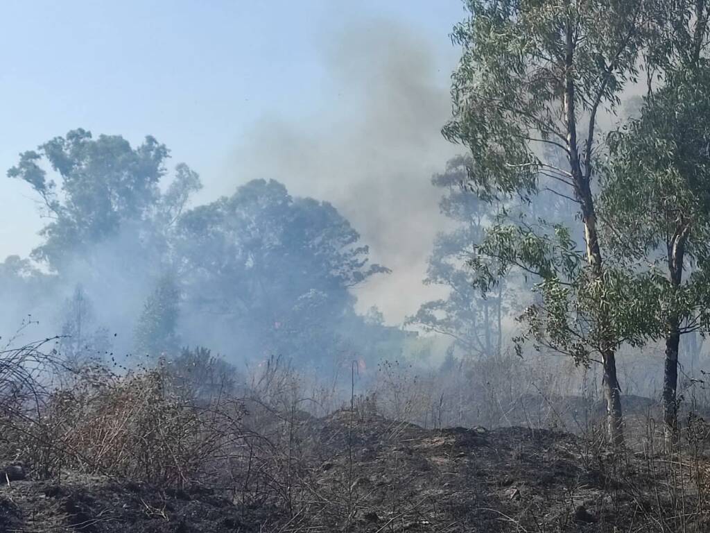 Incendio in via di Dragoncello: bruciati due ettari di sterpaglie e canneti
