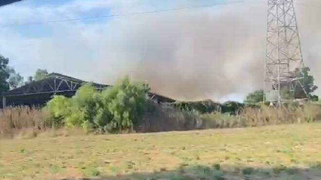Fiumicino, sterpaglie e alberi a fuoco in via di Granaretto: le fiamme mettono paura