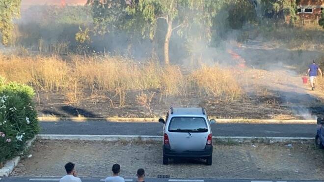 Fiumicino, sterpaglie e alberi a fuoco in via di Granaretto: le fiamme mettono paura