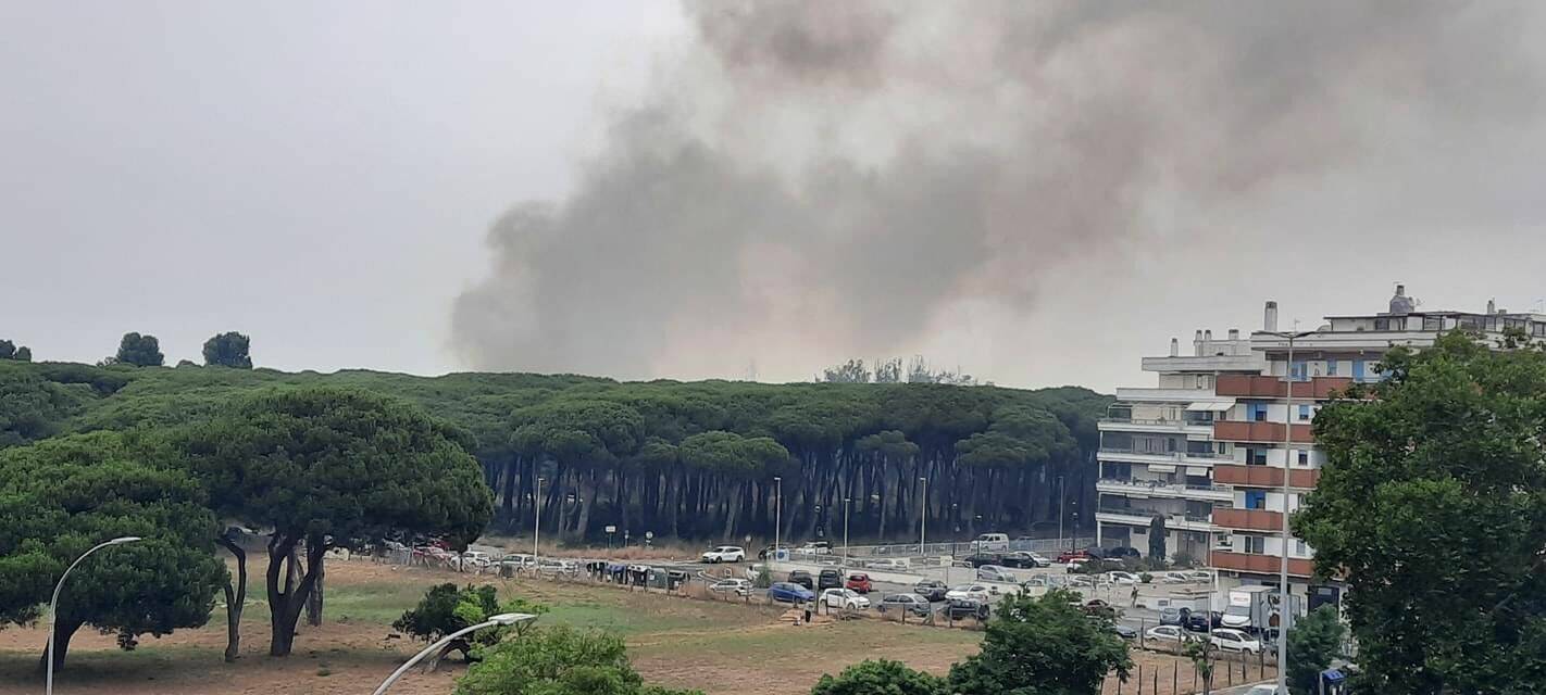 Incendio nella Pineta delle Acque Rosse: il fumo invade le strade di Ostia