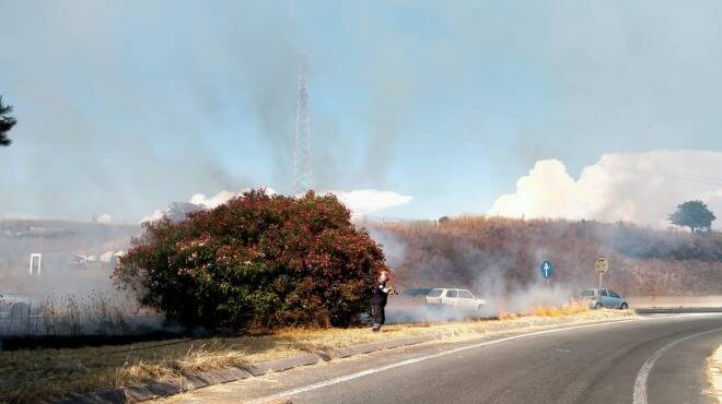 Ardea, vasto incendio di sterpaglie sulla Pontina: traffico in tilt