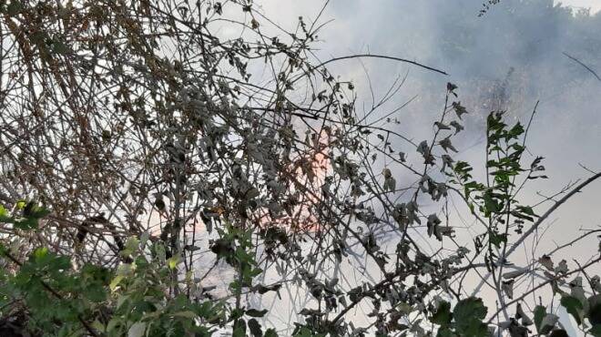 Colpita dalle fiamme la Sughereta di Pomezia: Vigili del Fuoco e Protezione Civile in azione