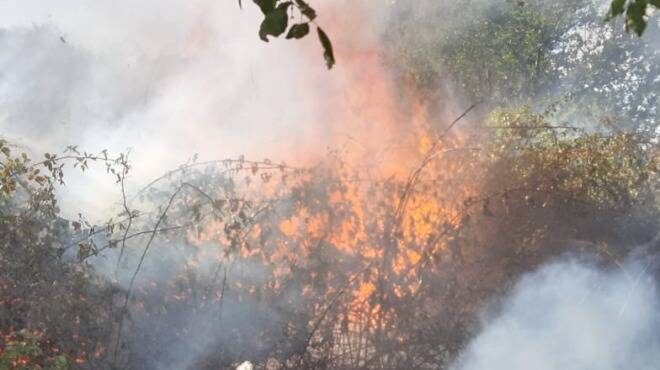 Colpita dalle fiamme la Sughereta di Pomezia: Vigili del Fuoco e Protezione Civile in azione