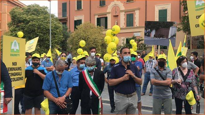 Protesta in Regione contro l’invasione dei cinghiali, Coldiretti Lazio: “Oltre 100mila presenze”