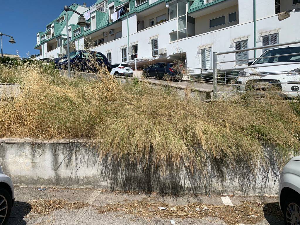 Formia, l’esasperazione dei residenti di Scacciagalline: “Un quartiere abbandonato”