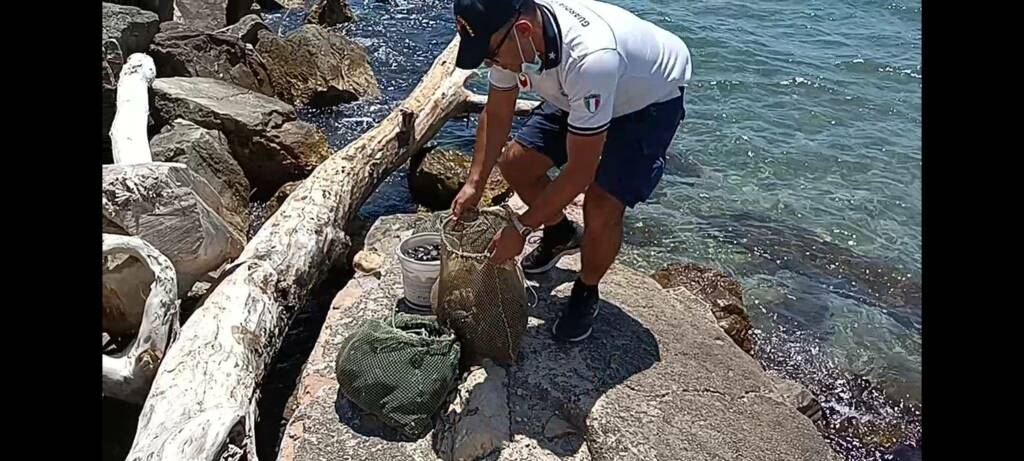 Formia, pescatore abusivo abbandona 50 chili di cozze sul pontile e fugge via