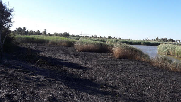 incendi lazio