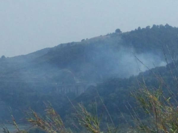 Il Lazio devastato dagli incendi, il Wwf alla Pisana: “Mappare le aree dei roghi”
