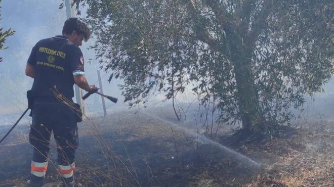 Ardea, vasto incendio in un’area boschiva: ore di intervento per spegnerlo
