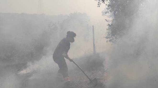 Ardea, vasto incendio in un’area boschiva: ore di intervento per spegnerlo
