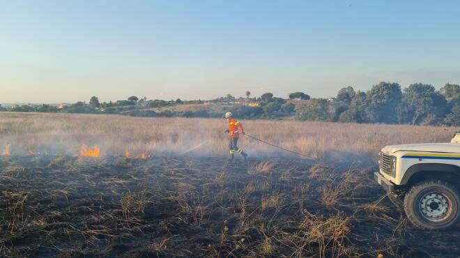 Ardea, incendio nei campi di via Monti di Santa Lucia: bruciano alberi e immondizia