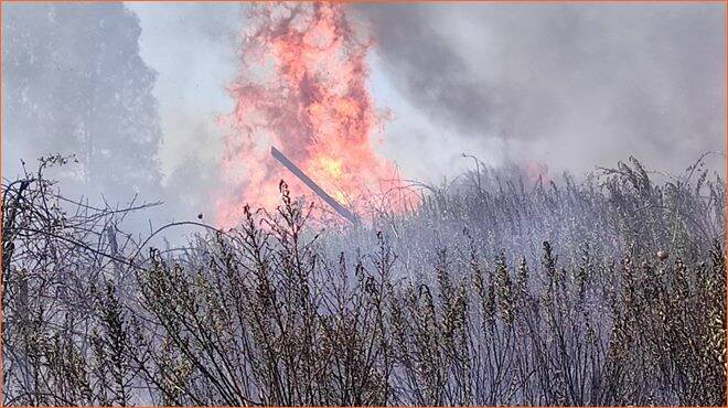 Ardea, vasto incendio in via Monti di Santa Lucia: minacciate le abitazioni
