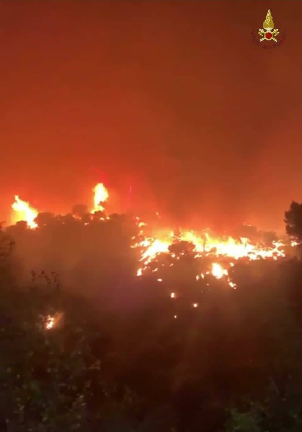 Gli incendi boschivi hanno conseguenze anche sul mare e i suoi abitanti: lo studio