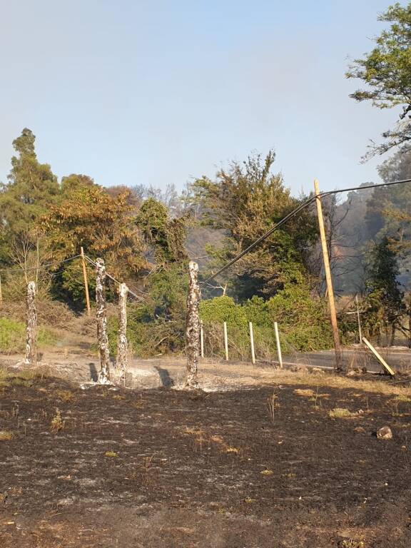 Ferragosto di fuoco a via dell’Arrone, incendio devasta la collina