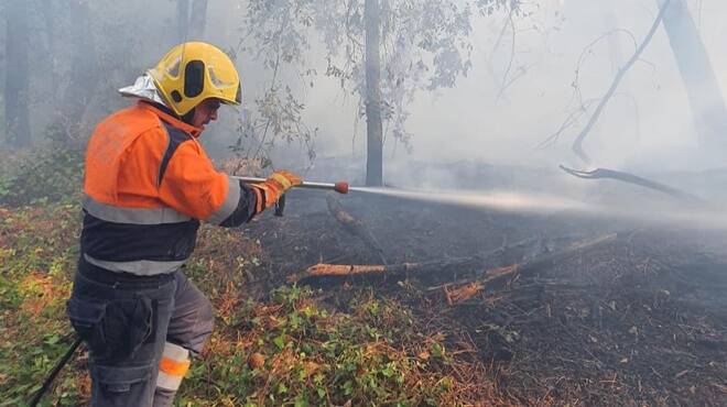 Ostia, incendio sulla Litoranea: paura per la pineta di Castel Fusano