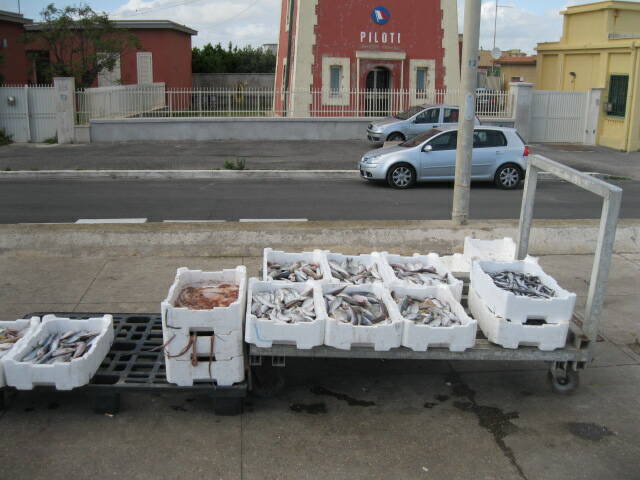 Fiumicino, vendono pesce non tracciato: maxi sequestro al porto canale