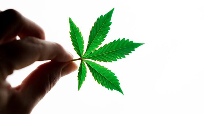 Cannabis light online, come riconoscere un rivenditore affidabile