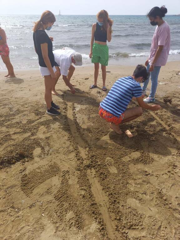 Si schiudono le uova sulla spiaggia di Terracina, 32 tartarughine prendono il largo