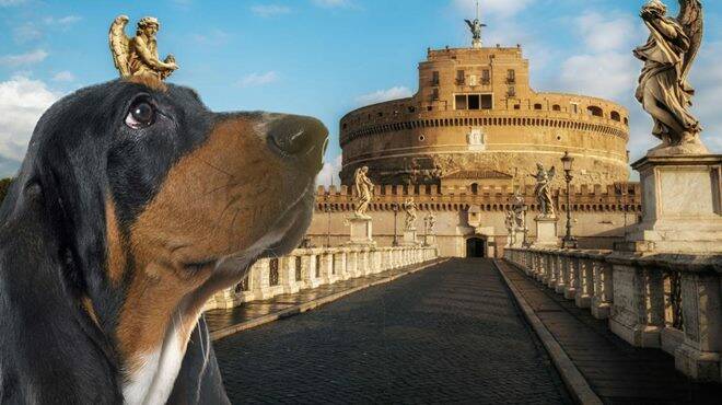 Al museo con il cane: al via i primi servizi di dog sitter per gli Uffizi, i Musei Vaticani ed altri luoghi storici