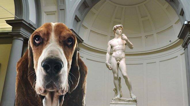 Al museo con il cane: al via i primi servizi di dog sitter per gli Uffizi, i Musei Vaticani ed altri luoghi storici