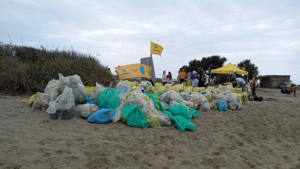 Fiumicino, i volontari di Legambiente puliscono la spiaggia di Coccia di Morto