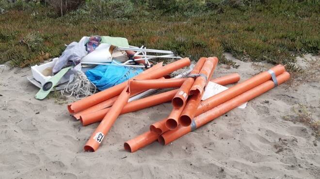 La spiaggia di Rivazzurra liberata dai rifiuti: volontari in azione sulla costa anziate
