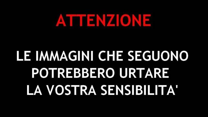 Scandalo al cimitero di Ponza: resti umani nei sacchi della spazzatura