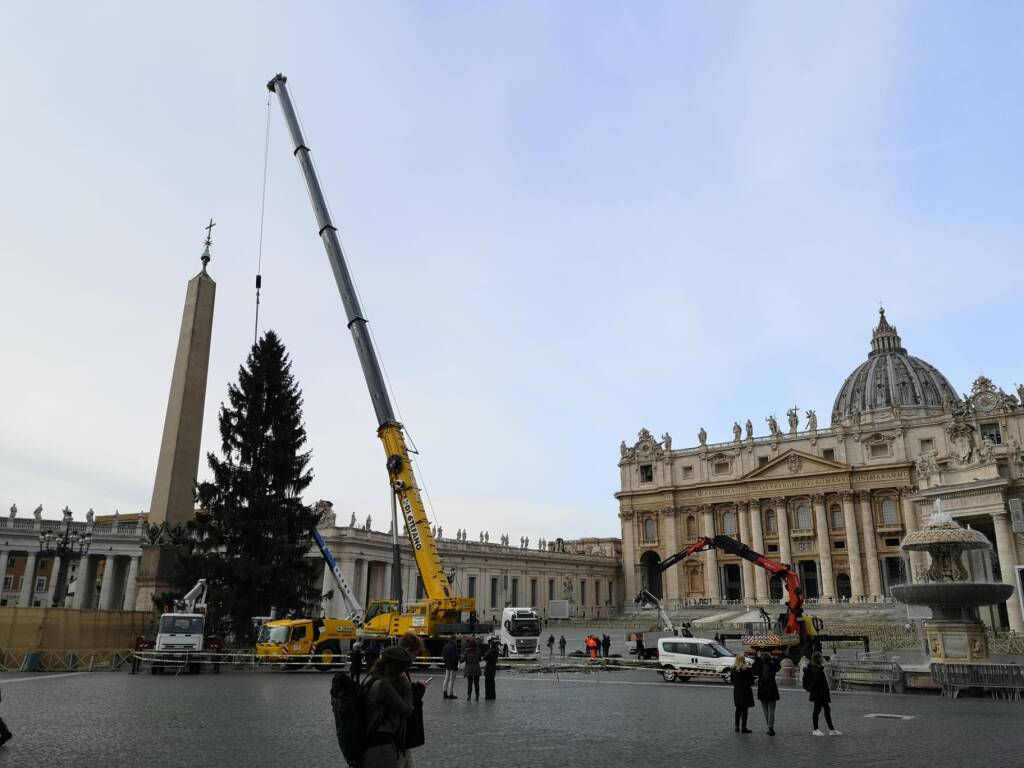 Da Andalo a Roma: per Natale in piazza San Pietro svetta un abete rosso di 28 metri