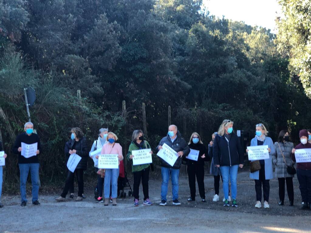 Strage di daini a Fregene, cartelli in strada e flash mob: “Vogliamo essere ascoltati”