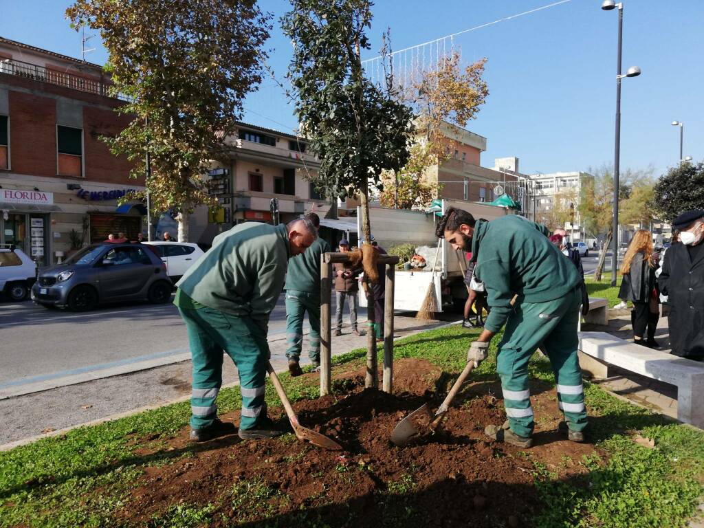 Giornata nazionale degli alberi: Pomezia pianta lecci, palme e querce