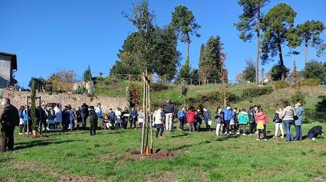 Giornata Nazionale degli alberi: gli eventi nei Parchi e nei Comuni del Lazio