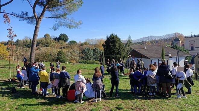 Giornata Nazionale degli alberi: gli eventi nei Parchi e nei Comuni del Lazio