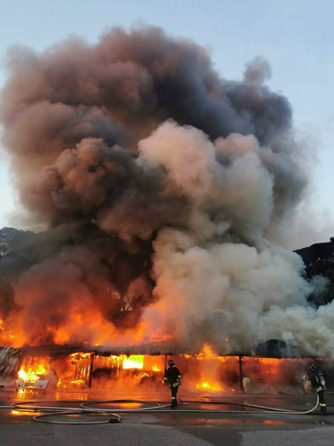 Castel Fusano, incendio distrugge la sede dei volontari di Pegasus Asi Lazio: “Non molleremo”