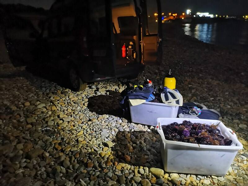 Santa Marinella, fondali depredati di ricci di mare: maximulta per due pescatori di frodo