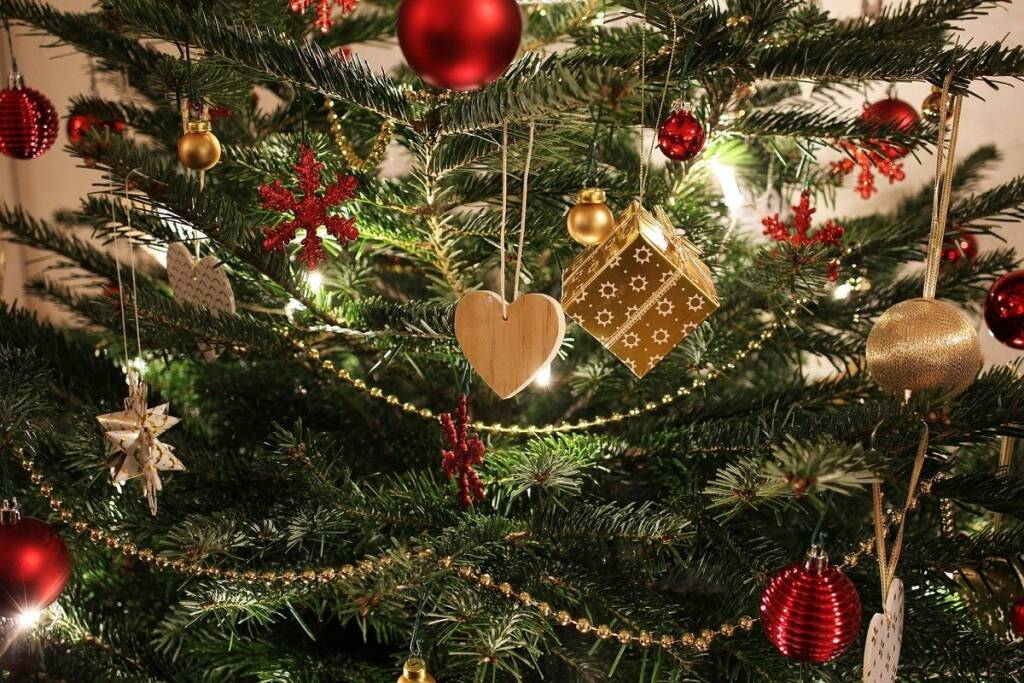 Natale 2021, l’indagine di Coldiretti: “3 milioni di famiglie sceglieranno l’albero vero”