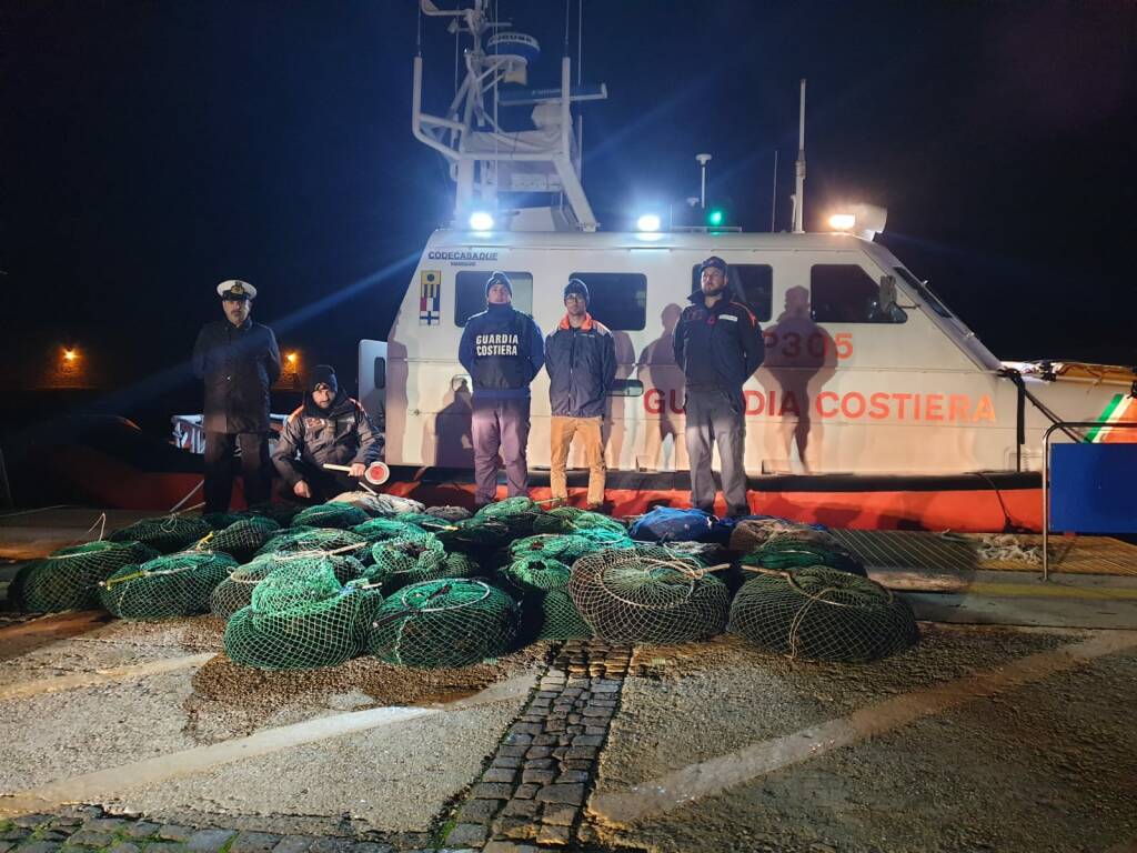 Razzia di ricci di mare sul litorale di Santa Marinella e Tarquinia, fioccano le multe