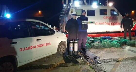 Razzia di ricci di mare sul litorale di Santa Marinella e Tarquinia, fioccano le multe