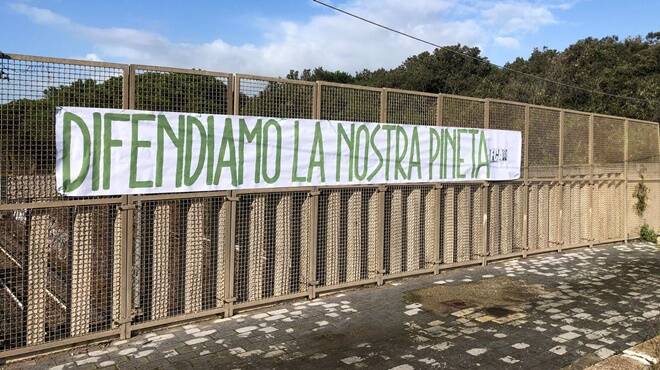 L’allarme degli ecologisti: “La Pineta di Castel Fusano si è trasformata in una discarica”