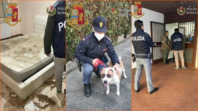 Roma, due cani chiusi in casa per giorni e abbandonati tra la sporcizia: nei guai due giovani