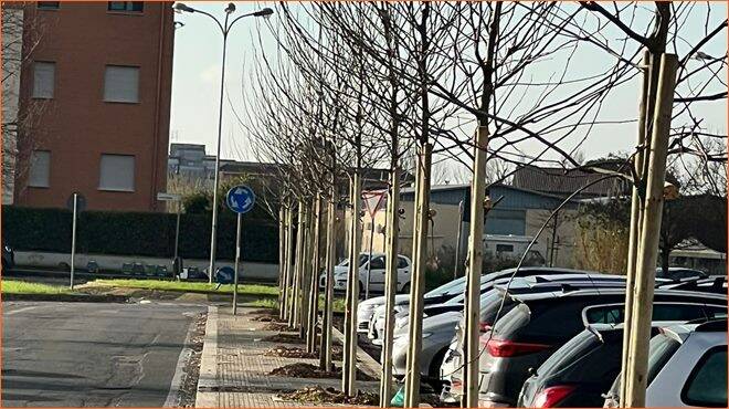 Progetto “Ossigeno”: piantumati 101 alberi nel parcheggio della stazione di Latina Scalo