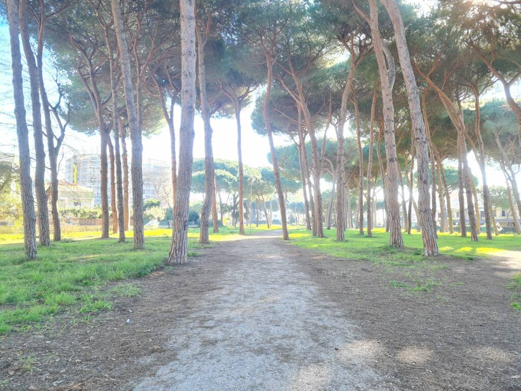 Nuove aree giochi nei parchi di Anzio: il sopralluogo tecnico del Comune