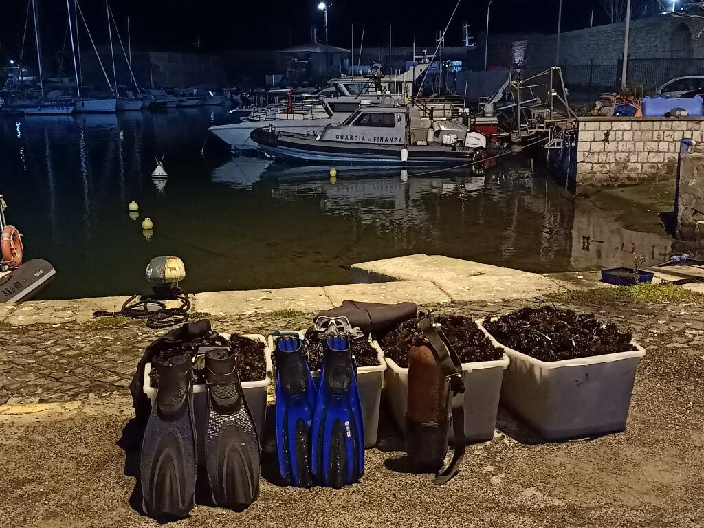Razzia di ricci di mare sui fondali di Santa Marinella: multe salate per due sub
