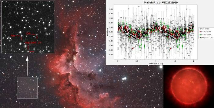 Una nuova stella variabile nella costellazione del Cefeo: la scoperta degli Astrofili di Palidoro